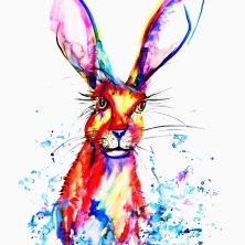 bright hare edited_edited-2
