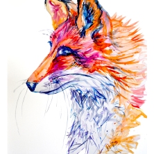 fox side portrait